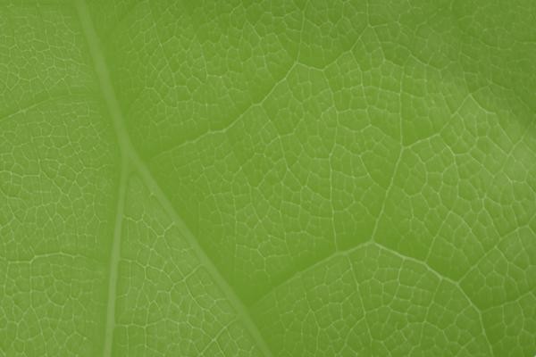 priorities-landing-page